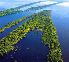 Chevron constata daño ambiental en Amazonia ecuatoriana, según abogado