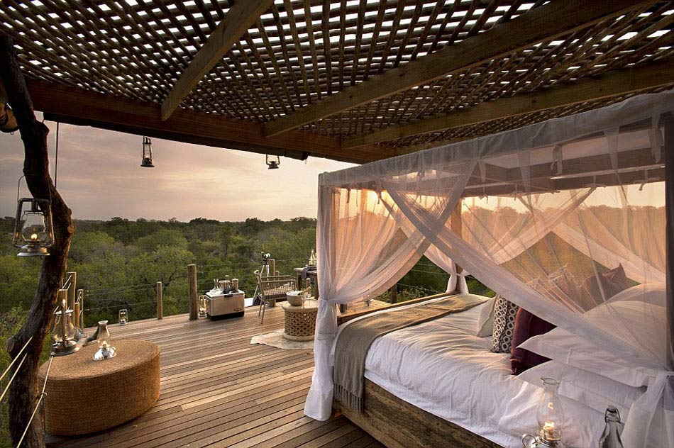 Hotel en árbol en Sudáfrica atrae a turistas en busca de emociones 3