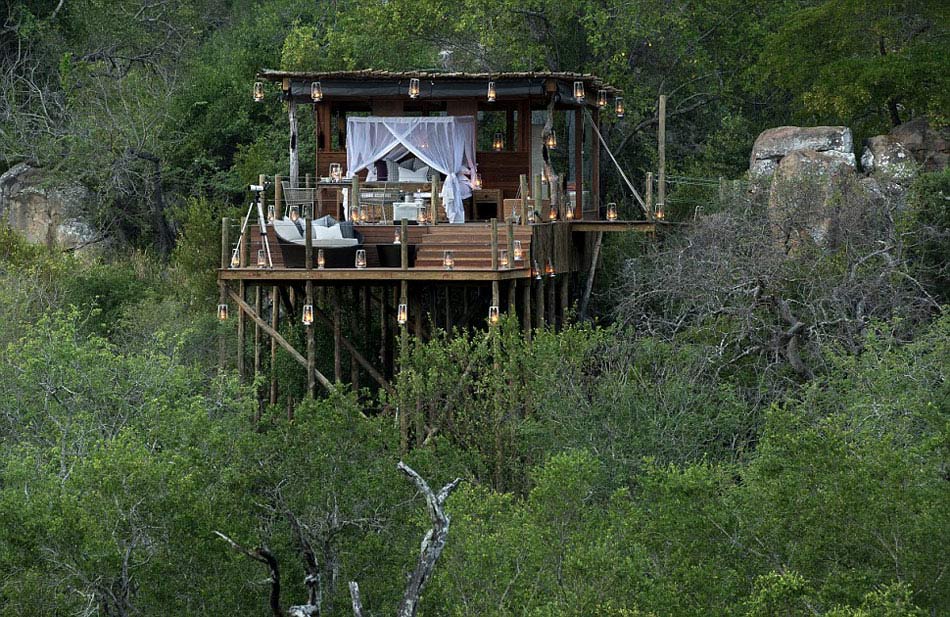 Hotel en árbol en Sudáfrica atrae a turistas en busca de emociones 4