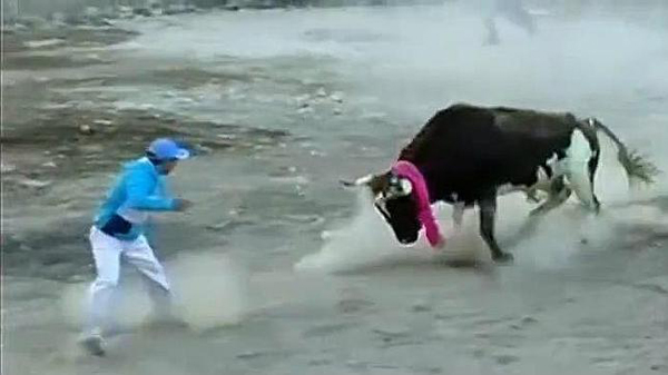 Un toro provoca una decena de heridos en un pueblo de Perú