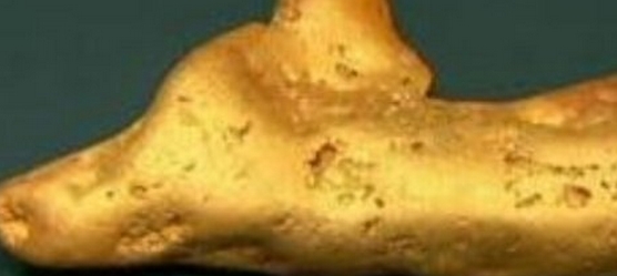Hallan en Siberia una pepita de oro de 6,6 kilos