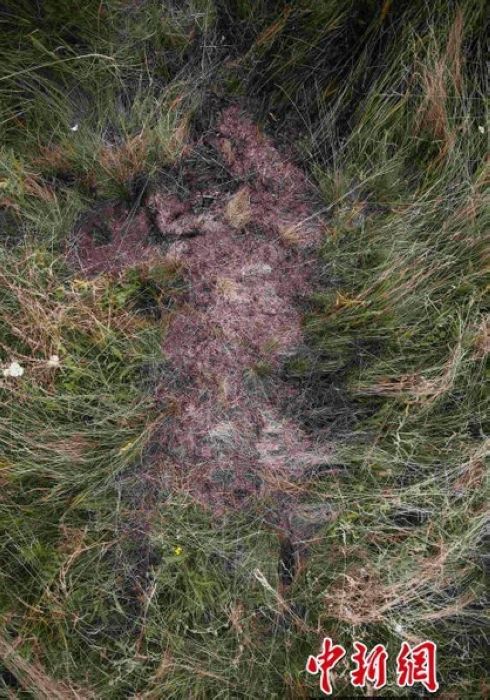 Imágenes de satélite del lugar donde cayó el avión MH17