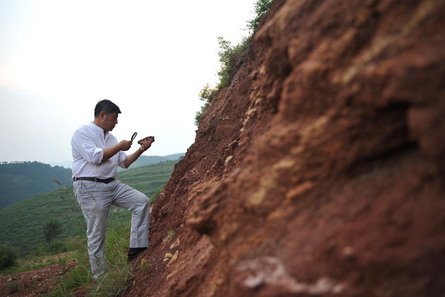 Bai Xuefeng busca la materia prima de arcilla morada en las montañas en la ciudad de Chaoyang, provincia de Liaoning , 21 de julio de 2014.