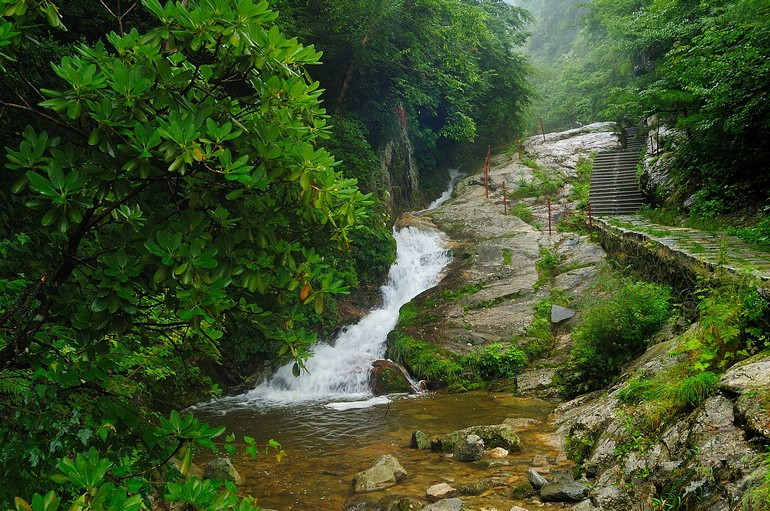 La ladera norte de las Montañas Qinling será un "santuario del turismo ecológico"