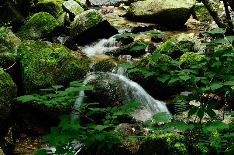 La ladera norte de las Montañas Qinling será un "santuario del turismo ecológico"