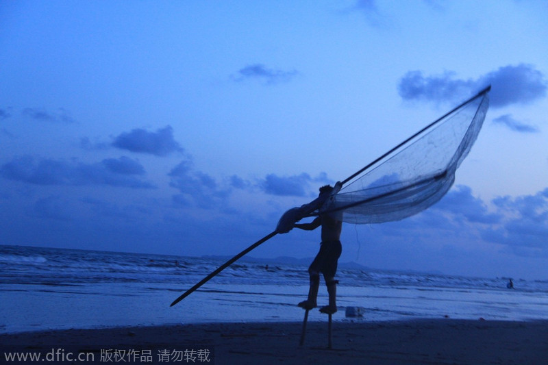 Un pescador en zancos lleva una red a la playa en la ciudad de Dongxin, Guangdong. 28 de junio de 2012. [Foto/IC]