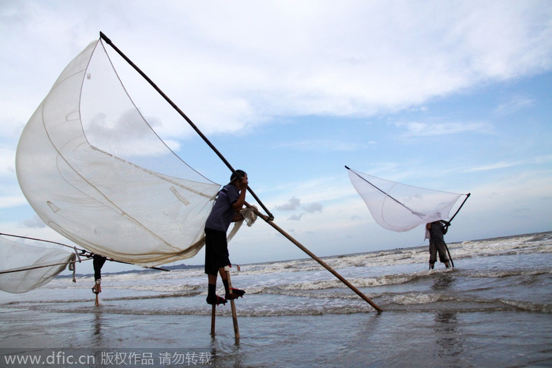 Pescadores en zancos. Dongxin, Guangdong. 28 de junio de 2012. [Foto/IC]
