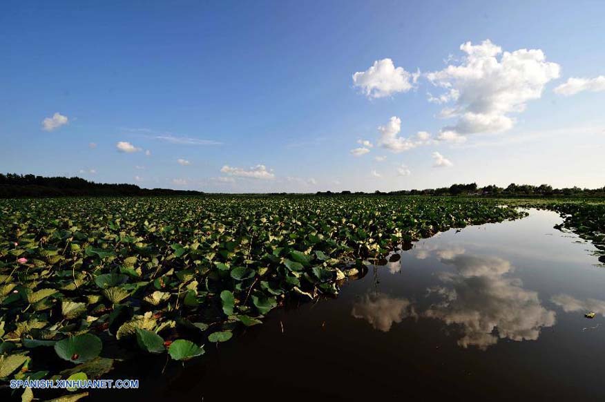 Heilongjiang: Bello paisaje de Lago Yueya en Hulin 