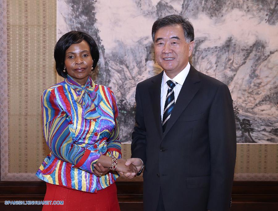 Altos funcionarios chinos se reúnen con ministra sudafricana