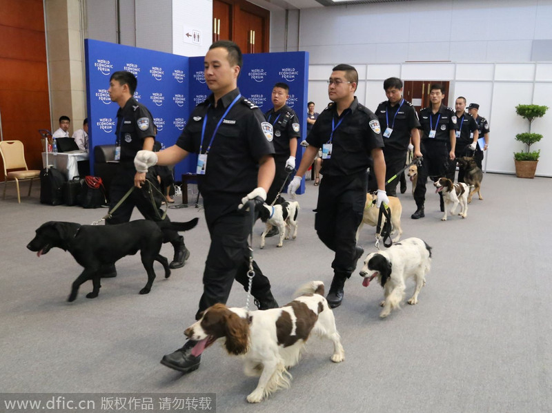 Las patrullas caninas están listas para la inspección de seguridad en Davos