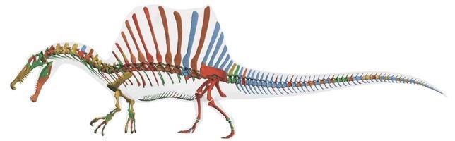 El Spinosaurus no se parece a ningún otro dinosaurio que hayas visto