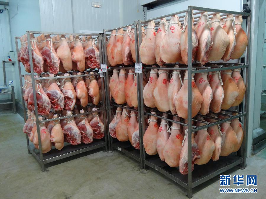 El 9 de septiembre, en Girona, las piernas de cerdo  son enviadas a la fábrica para la elaboración de jamón.