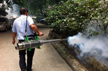 Suman 13.449 casos de dengue en Guangdong, sur de China