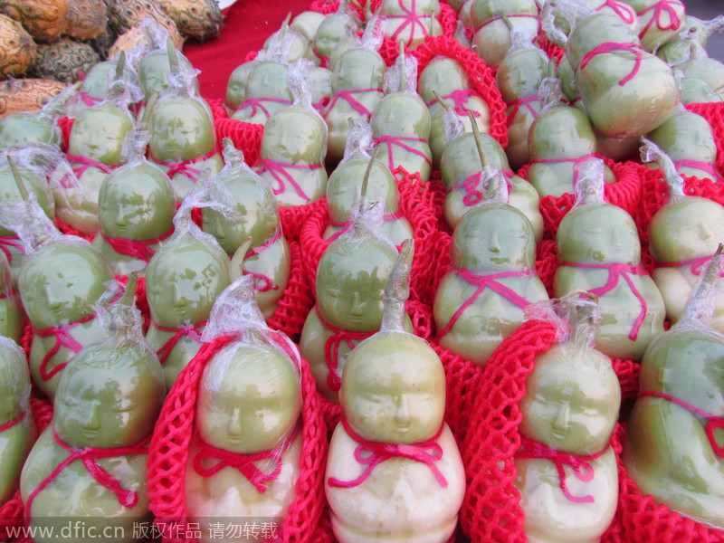 Estos frutos en forma de niños, se venden a 20 yuanes en Hangzhou, Zhejiang. Son, en realidad, un tipo de melón llamado Solanum Muricatum. Naturalmente no tienen esta forma, pero la adquiren gracias a una "cirugía plástica", que consiste en poner la fruta en un molde cuando ésta comienza a crecer. (Foto/IC)