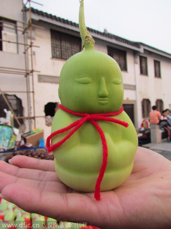 Estos frutos en forma de niños, se venden a 20 yuanes en Hangzhou, Zhejiang. Son, en realidad, un tipo de melón llamado Solanum Muricatum. Naturalmente no tienen esta forma, pero la adquiren gracias a una "cirugía plástica", que consiste en poner la fruta en un molde cuando ésta comienza a crecer. (Foto/IC)