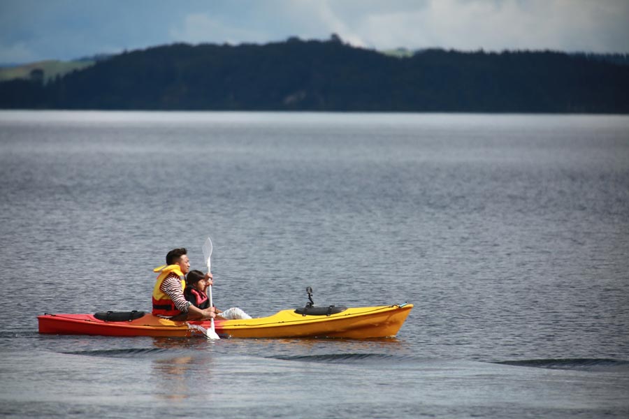 Huang Lei y su hija Duoduo buscan cisnes negros en el lago Rotoiti.