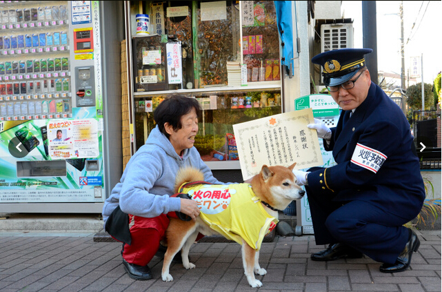 El perro japonés que vende cigarrillos