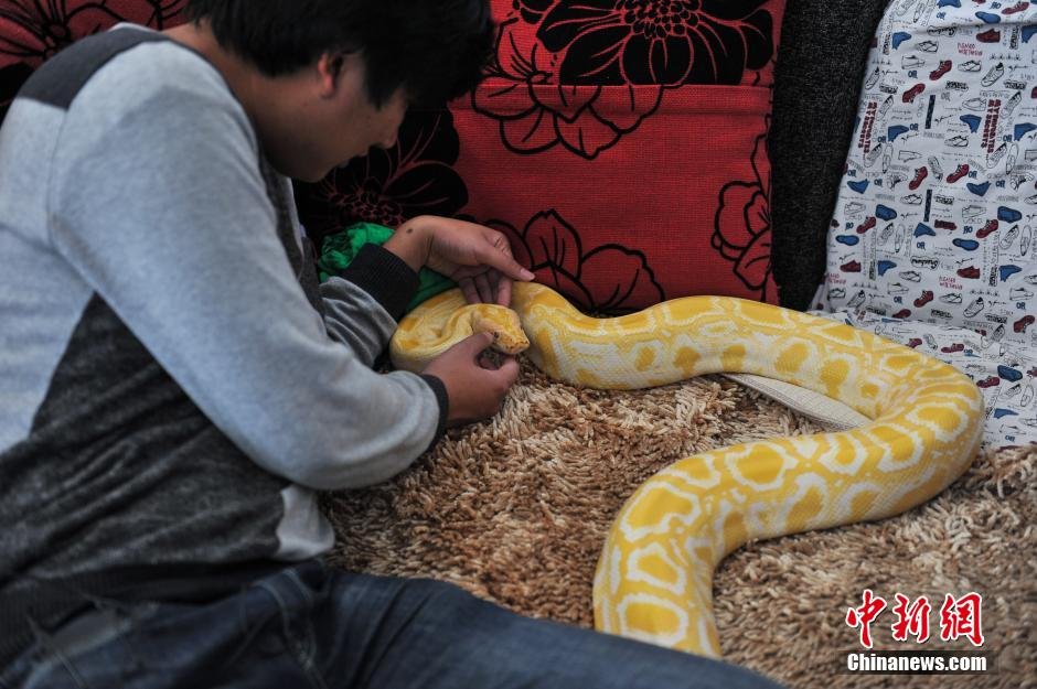 Jóven vive con serpientes durante 10 años