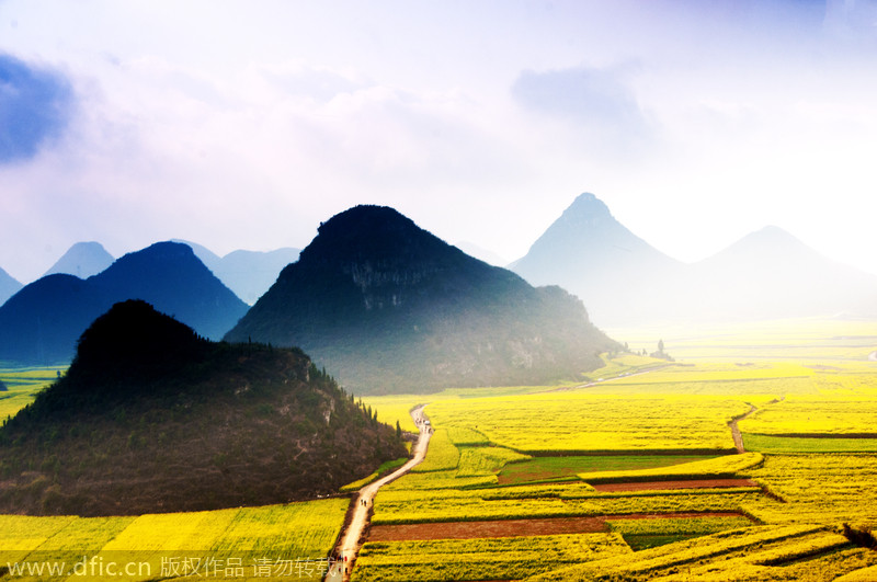 La manta de flores de la cuenca de Luoping, en Yunnan, ha sido destacado por CNN entre los 15 paisajes más coloridos del mundo. [Foto:IC]