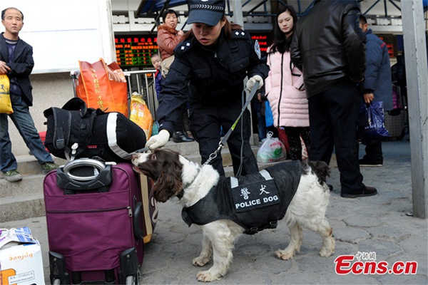 Perros policía se preparan para el éxodo de año nuevo chino