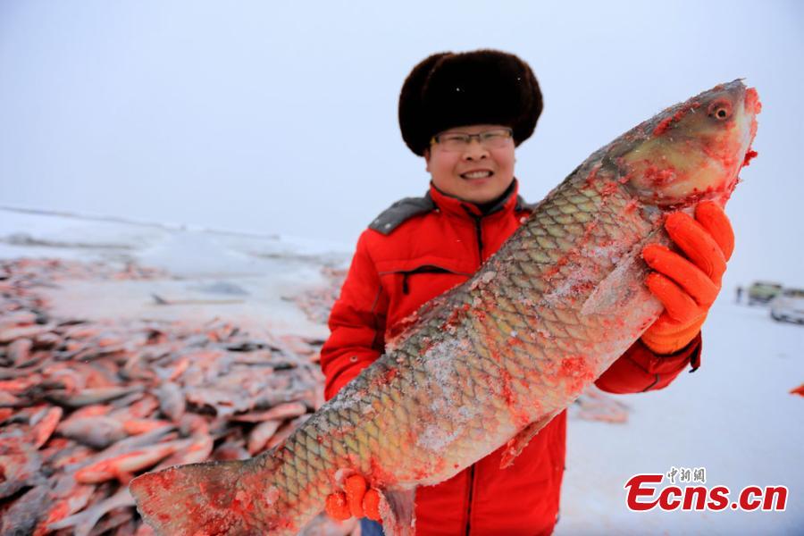 Temporada alta de pesca en los lagos de Xinjiang