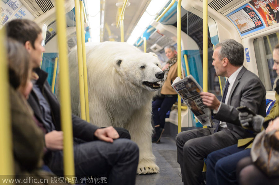 Viajeros comparten vagón de metro con el oso polar de la película “Fortitude”. [Foto/IC]