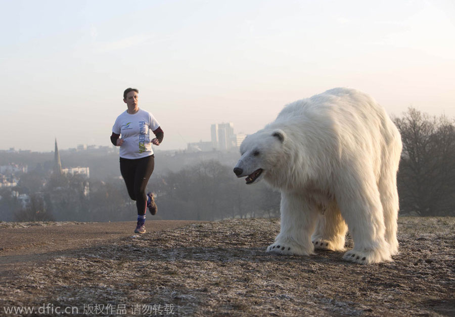 El oso polar pasea por un parque de Londres antes del lanzamiento de la película “Fortitude”. [Foto/IC]