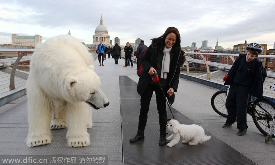 El oso polar cruza el puente Milenio de Londres. [Foto/IC]