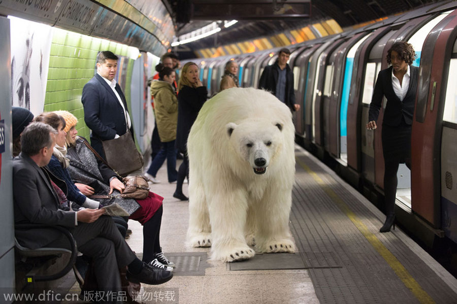 El oso polar invade el metro de Londres. [Foto/IC]