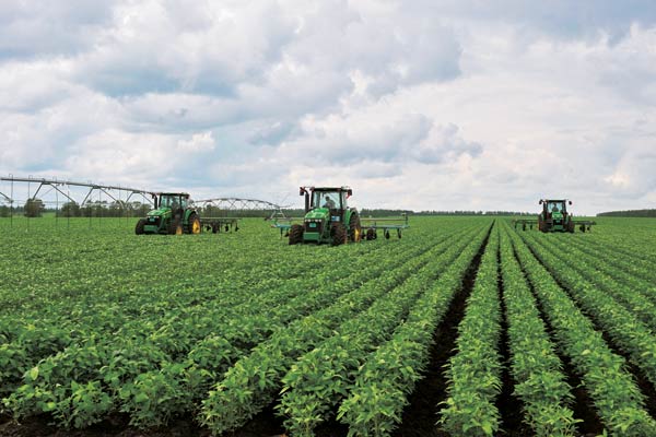 Enfoque de China: China acelerará modernización agrícola mediante reformas