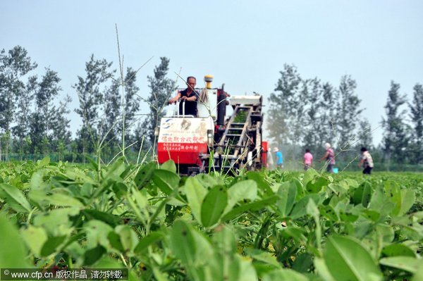 Enfoque de China: China acelerará modernización agrícola mediante reformas