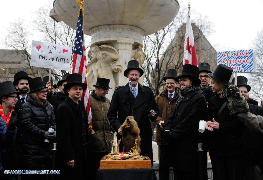 EEUU: Día de Marmota monax en Washington D.C.