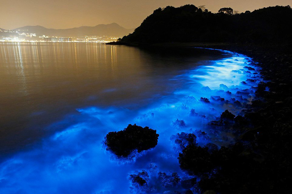 Un resplandor azul ilumina de noche el mar de Hong Kong por culpa de la contaminación