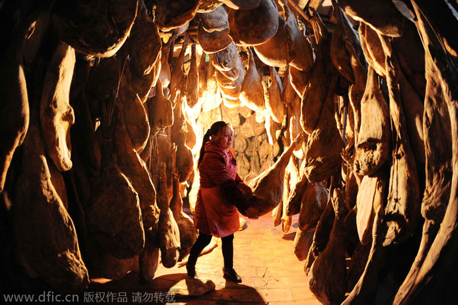Secado y curado de las patas de jamón en la provincia de Guizhou, el 23 de enero de 2014. [Foto/IC]