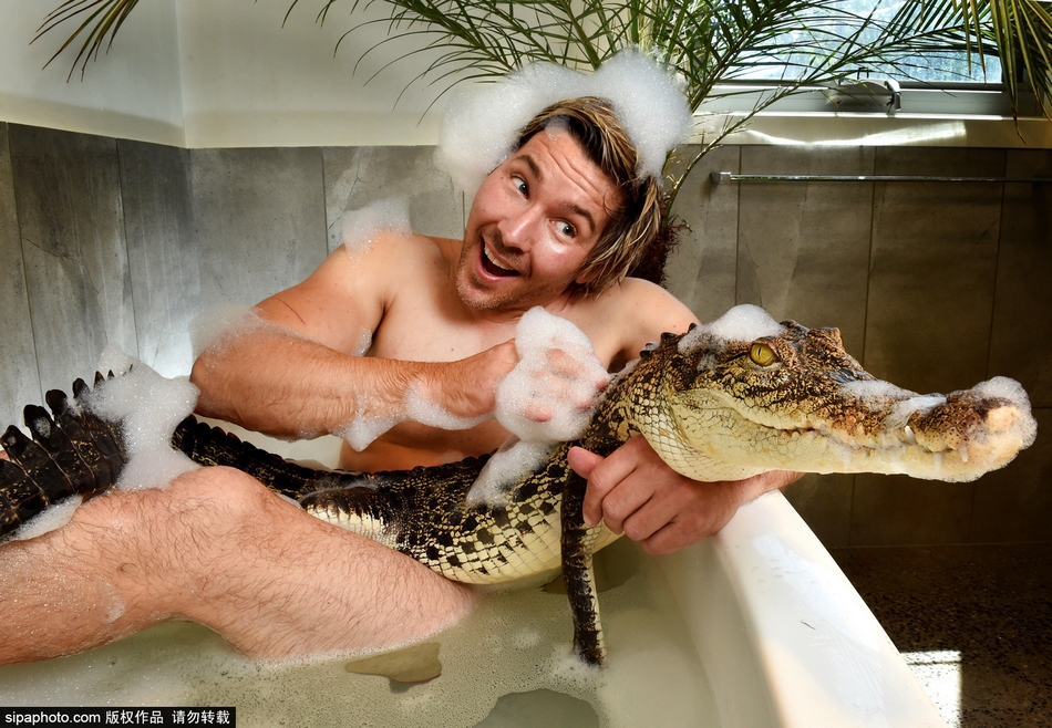 Zoólogo comparte la bañera con cocodrilo
