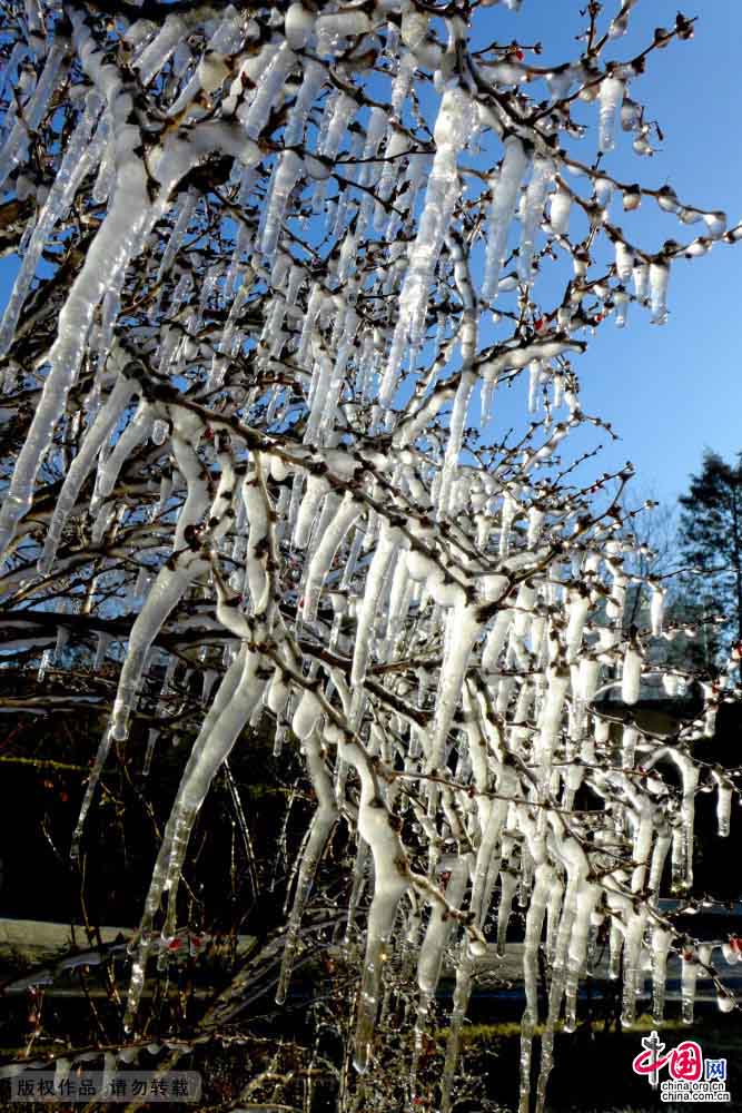 El paisaje helado más raro de mundo en un parque de Shijingshan 5