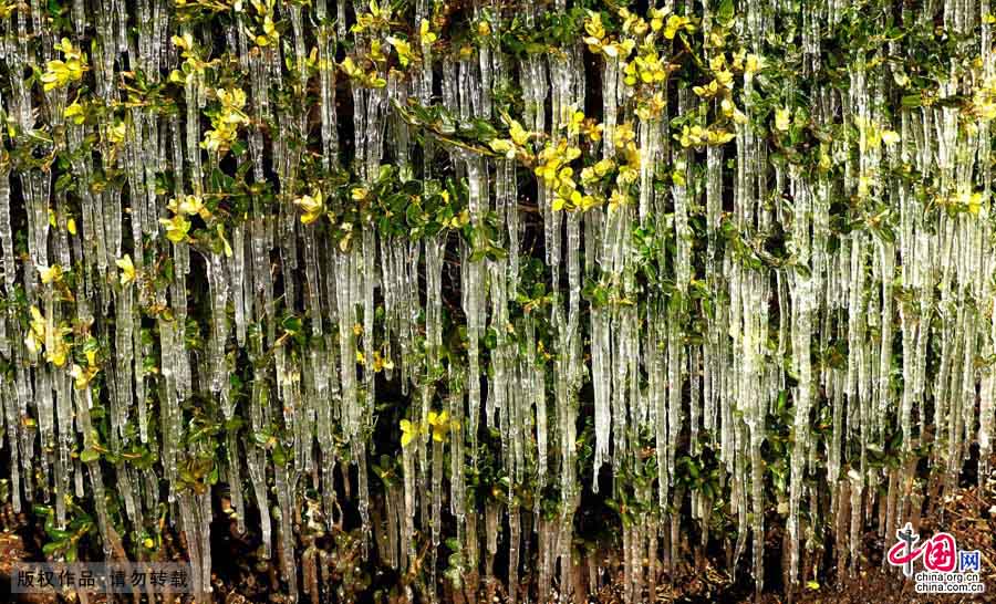 El paisaje helado más raro de mundo en un parque de Shijingshan 4