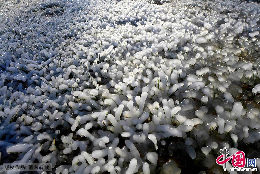 El paisaje helado más raro de mundo en un parque de Shijingshan 6
