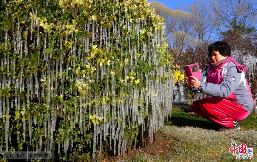 El paisaje helado más raro de mundo en un parque de Shijingshan 3
