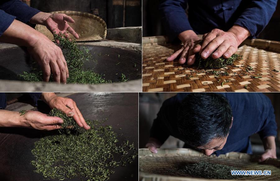 Zhang Yuehua, heredero del té Mengding prepara la producción con hojas cosechadas antes del Qingming Festival (5 de abril). El té de este período es considerado excepcional. Ya'an, Sichuan. [Foto: Xinhua]