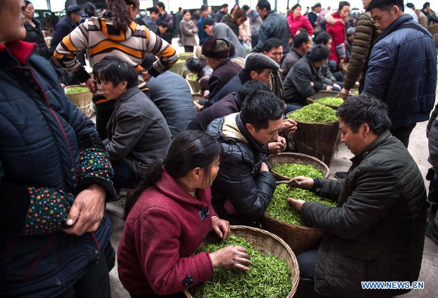 Comerciantesde de té en un mercado de Shuanghe. Ya'an, Sichuan. [Foto: Xinhua]
