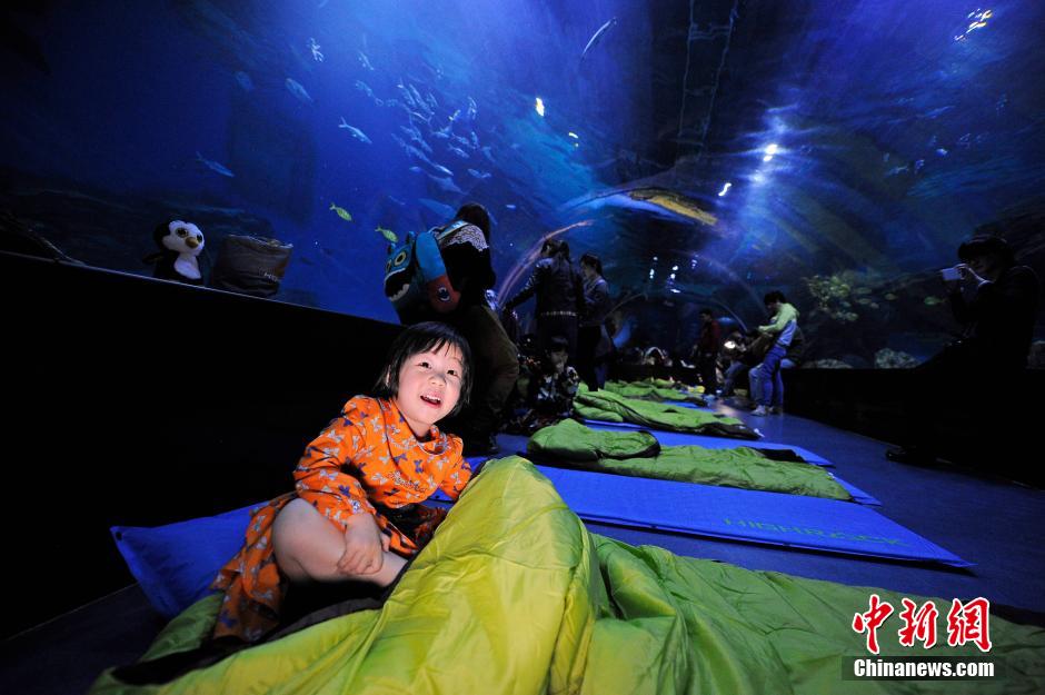 Turistas de Tianjin duermen en el Ocean Park para experimentar la vida con el pez