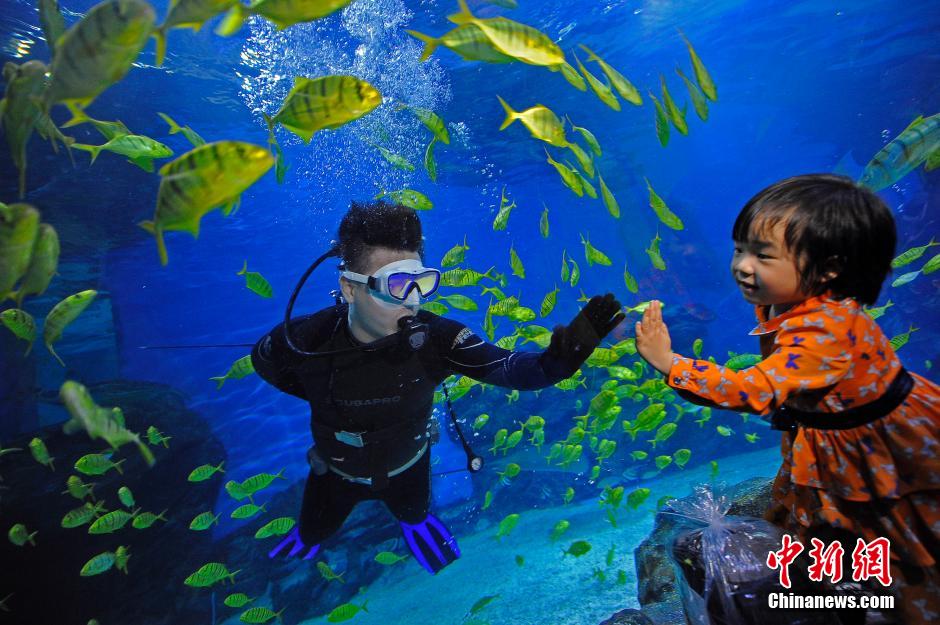 Turistas de Tianjin duermen en el Ocean Park para experimentar la vida con el pez 4