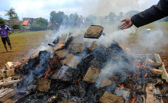 La policía indonesia intoxica a todo un pueblo quemando marihuana