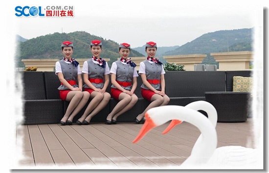 Yan Huihui, Yan Cuicui, Yang Zhoujun y Yang zhuolin son dos pares de gemelas que cursan la carrera de auxiliares de vuelo en un instituto de aviación civil en China. Las cuatro chicas se hacen populares últimamente en el internet debido a su belleza y simpatía.