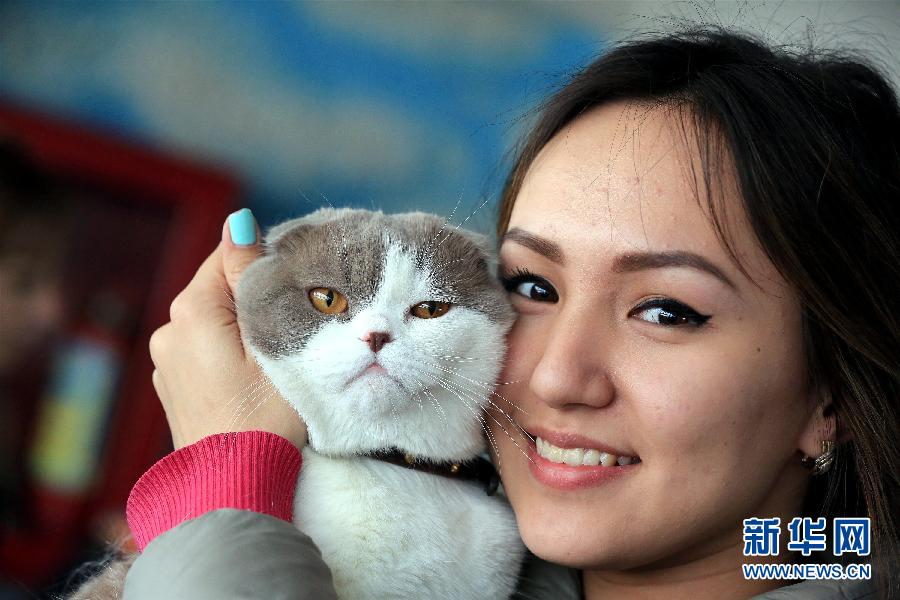 Salón Internacional del Gato en Bishkek, Kirguistán