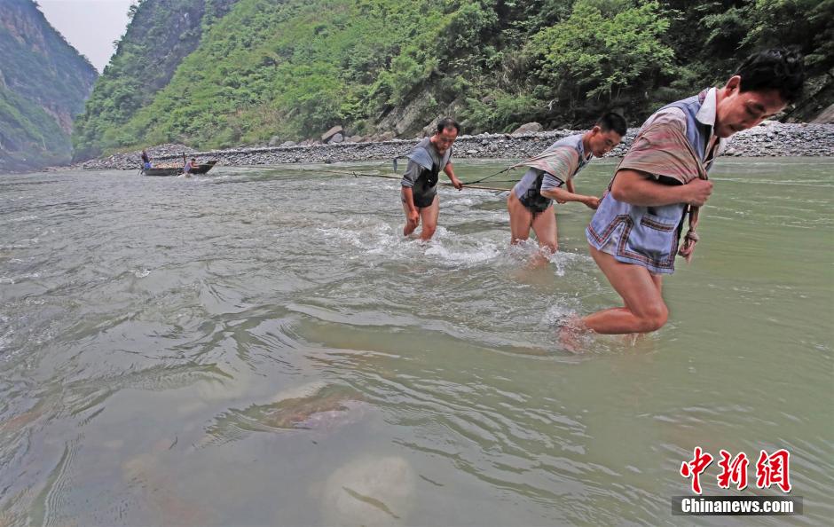 Cultura del río Yangtze: tirar de un barco desnudo