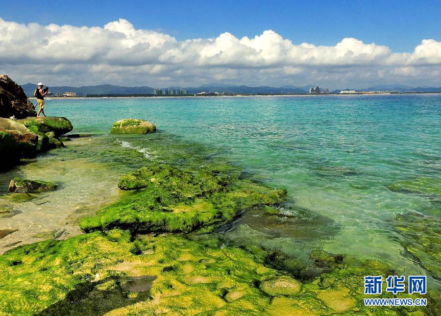 Isla de Wuzhizhou en Sanya, provincia de Hainan. (Foto: Song Wang)