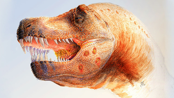 Hallan el fósil de un nuevo dinosaurio jurásico