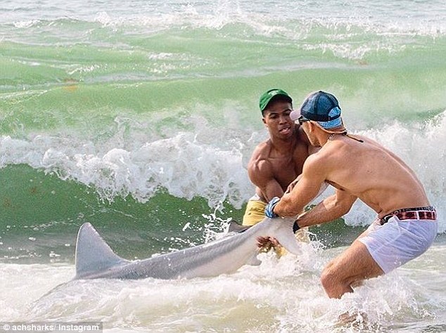 Un hombre se hace famoso en Internet por capturar tiburones con sus propias manos